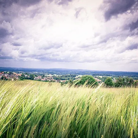 Alte Wagnerei